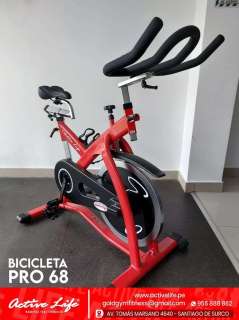 BICICLETA ELITE