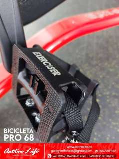 BICICLETA ELITE