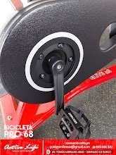 BICICLETA ELITE