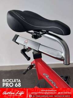 BICICLETA ELITE
