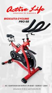 BICICLETA ELITE