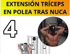 POLEA MULTIPLE PRO 11.11