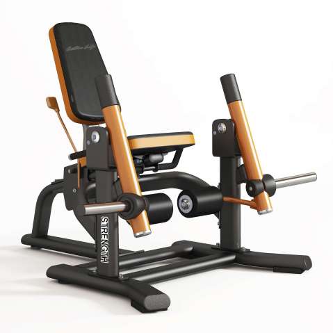 LEG EXTENSION
